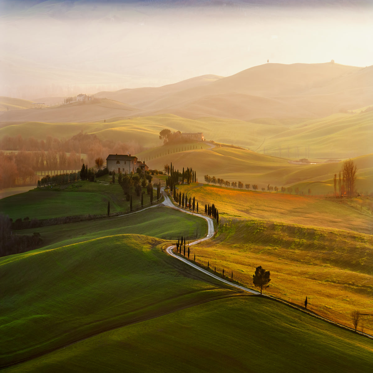 4-piece-canvas-print-val-dorcia