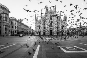 aluminium-print-hitchcock-in-milano
