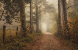 framedposter-print-so-incredibly-quiet