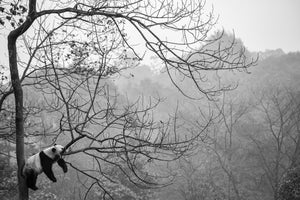 framedcanvas-print-relax