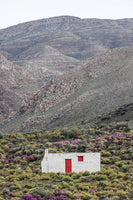 poster-print-solitary-bloom-retreat