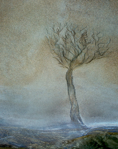 poster-print-lonely-tree-2