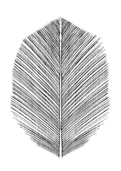 poster-print-feather