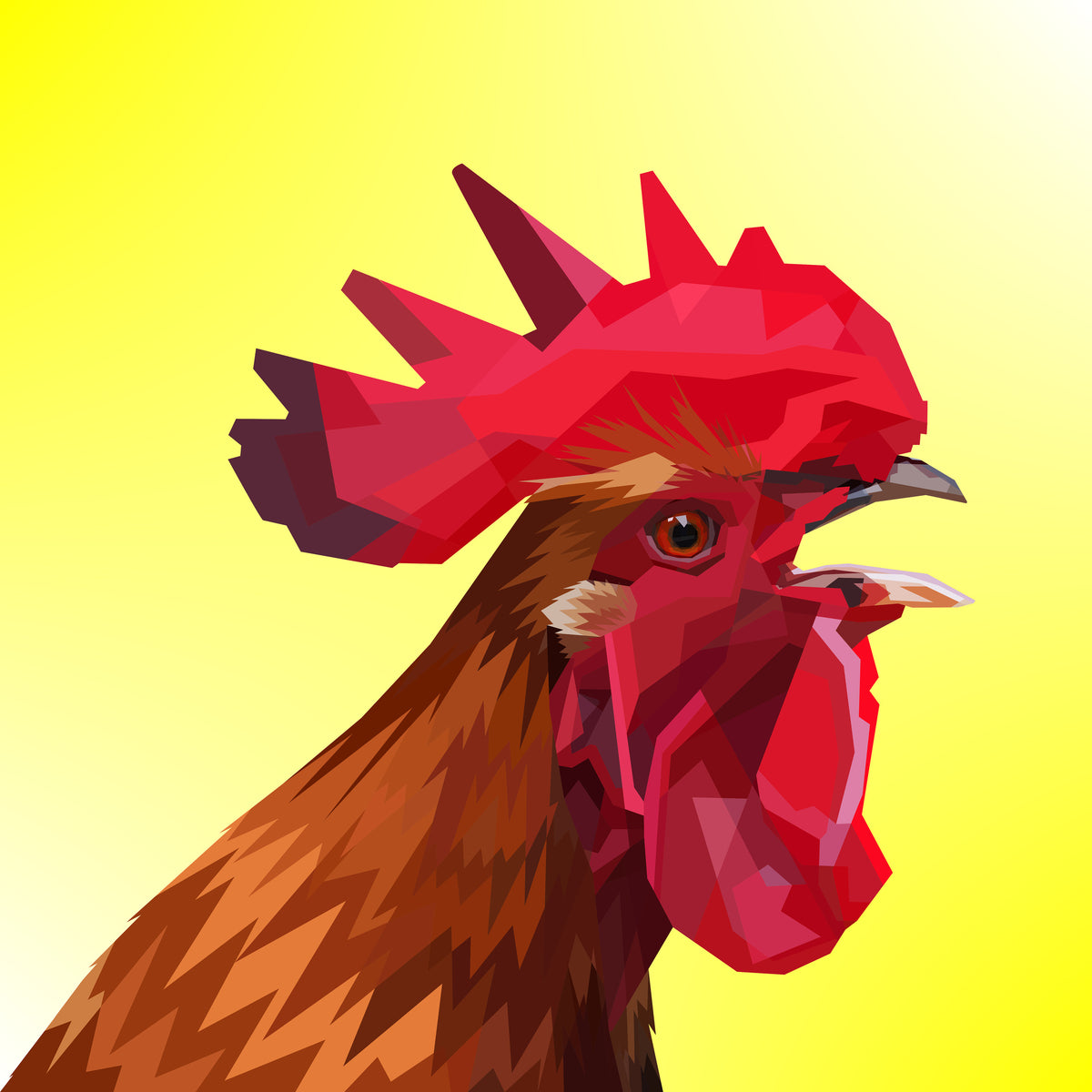 acrylic-print-the-rooster