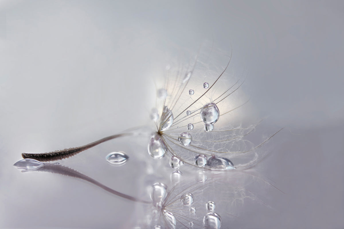 canvas-print-silver-x
