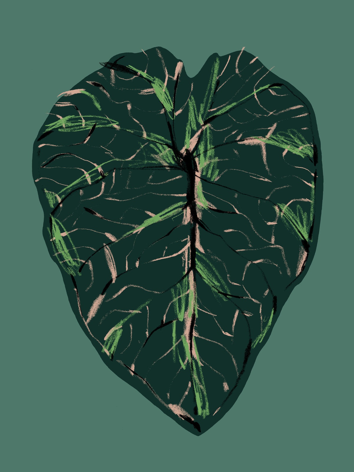 canvas-print-alocasia-melo-dark