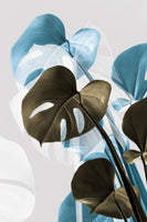 framedcanvas-print-monstera-creative-13