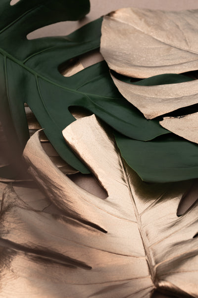 poster-print-monstera-mix-01