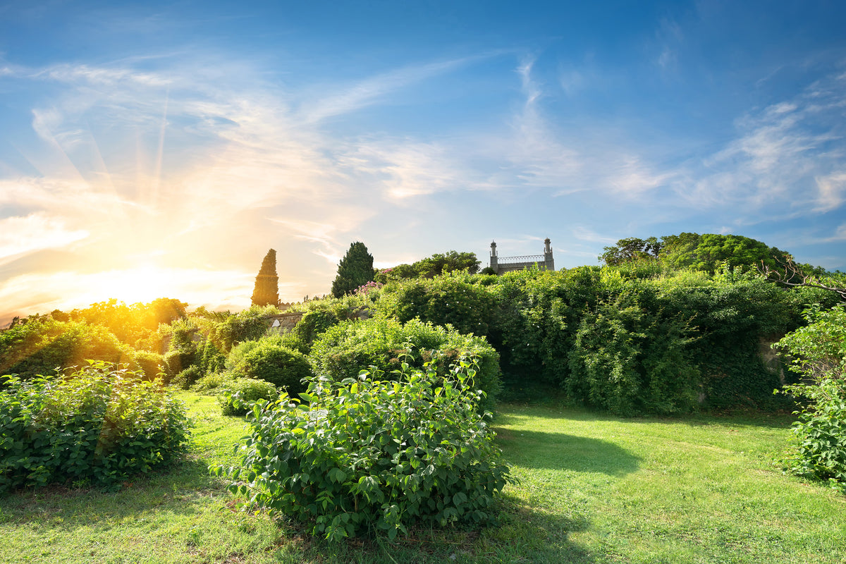 3-piece-canvas-print-sunrise-in-the-park