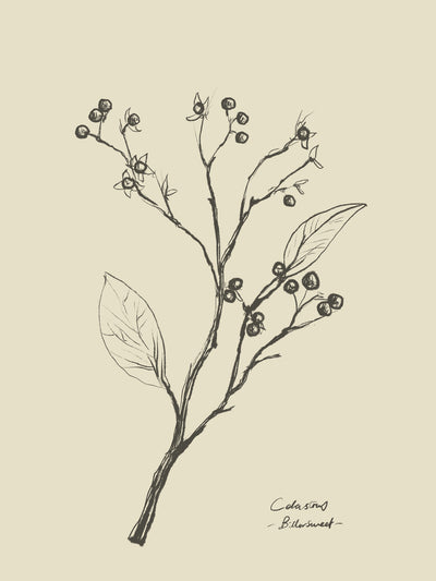 poster-print-floral-2