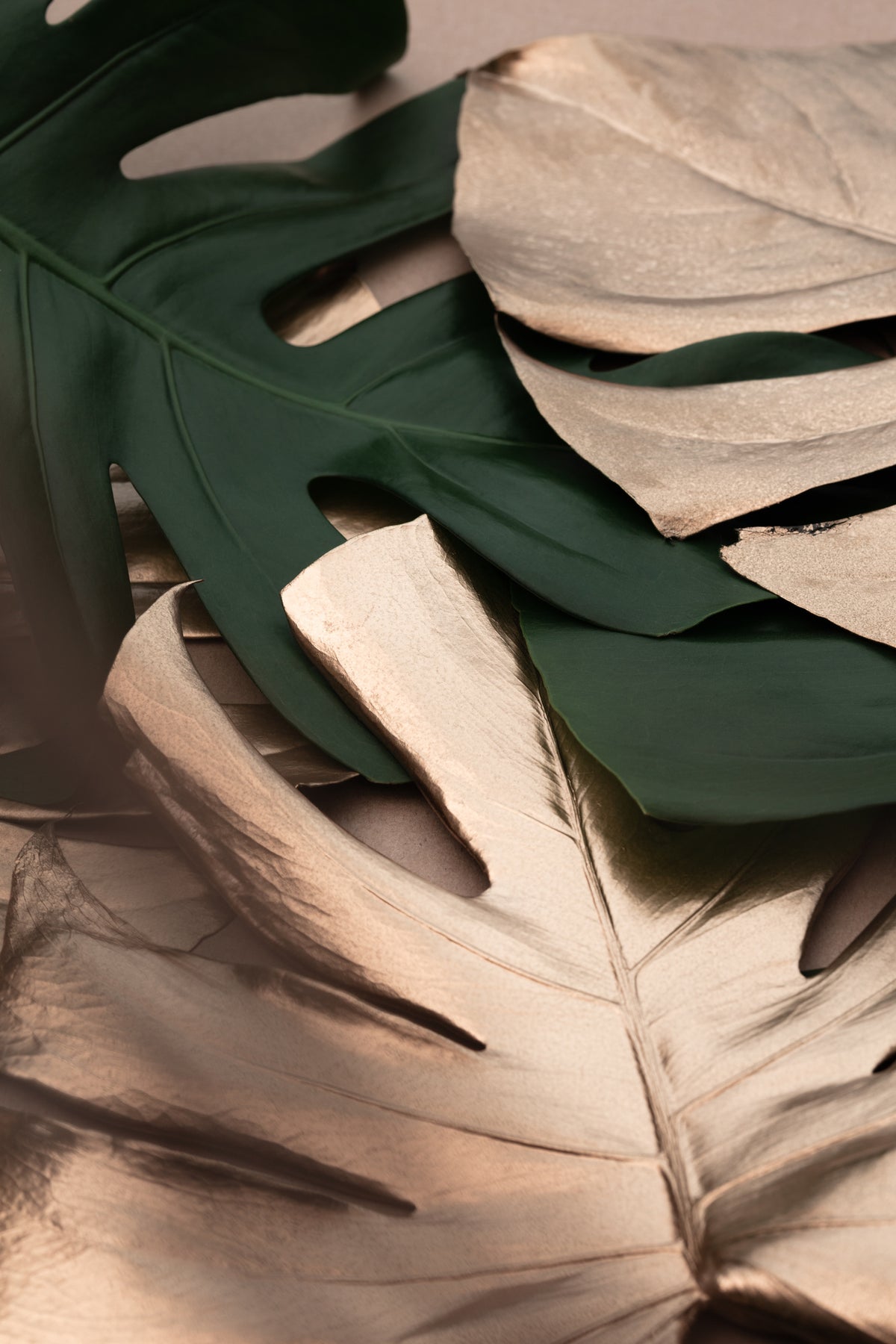 canvas-print-monstera-mix-01