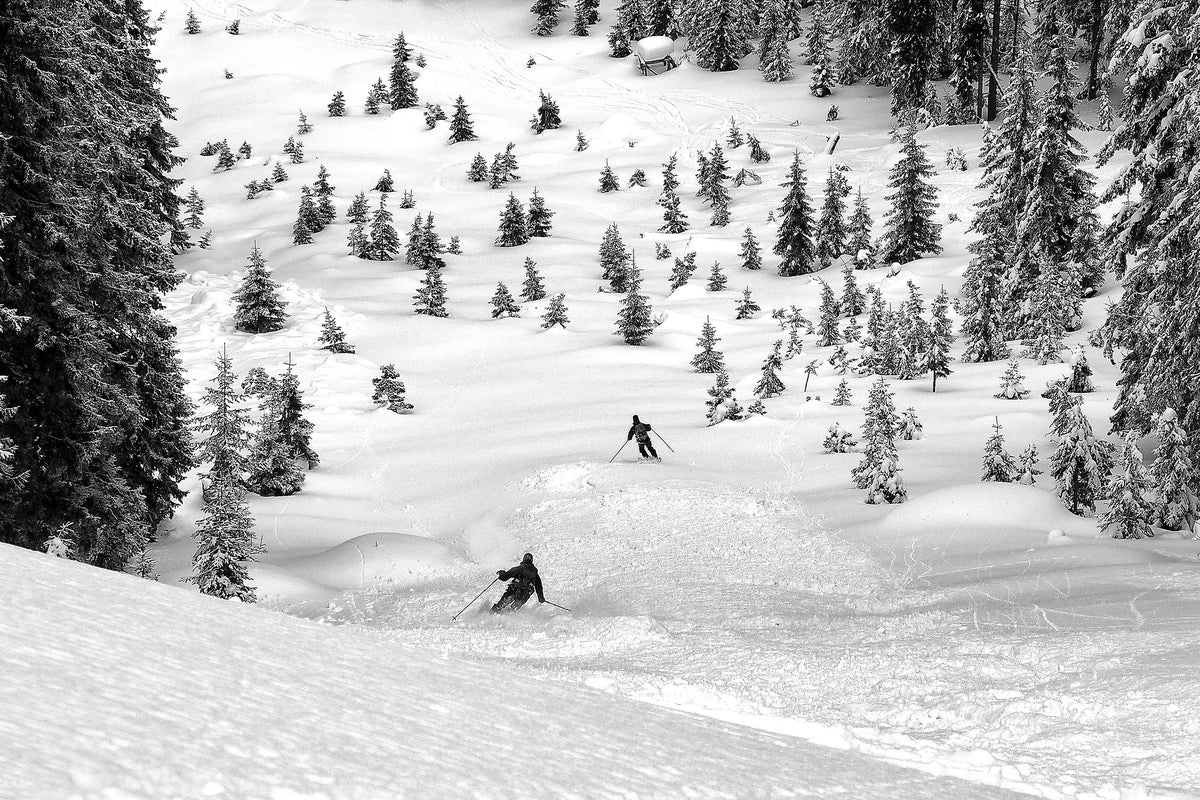 aluminium-print-freeriders-x