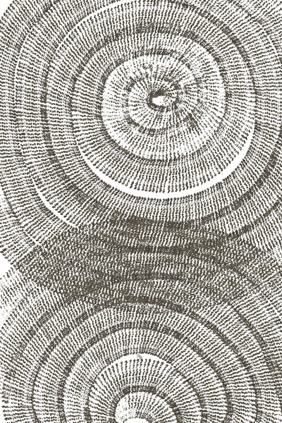 poster-print-tree-age