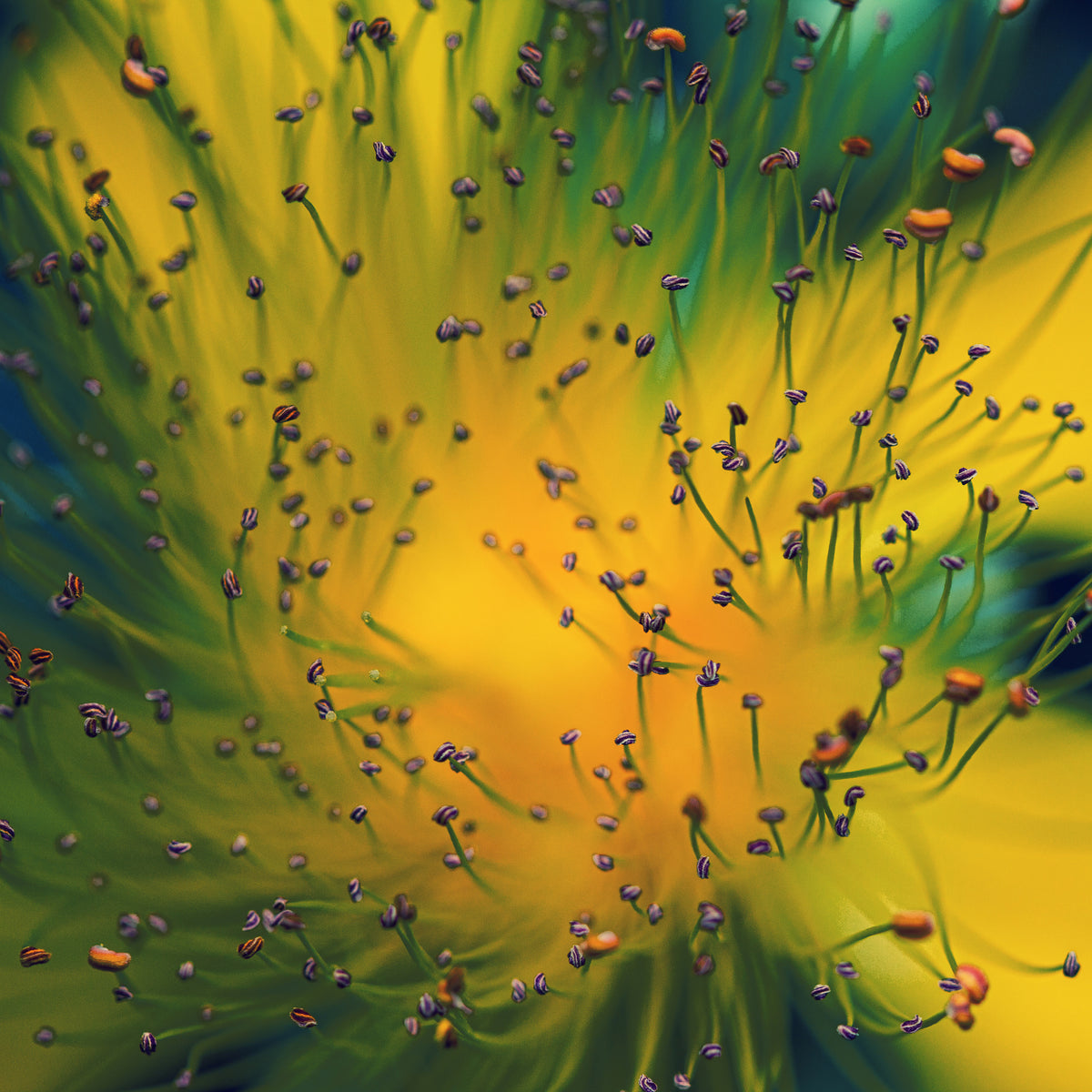 9-piece-acrylic-print-creation