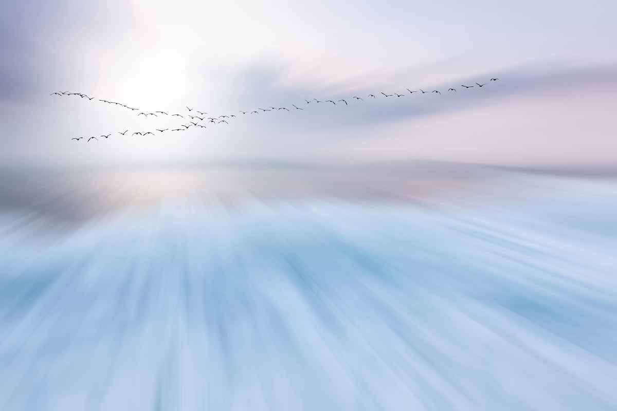 framedcanvas-print-fly-over-x