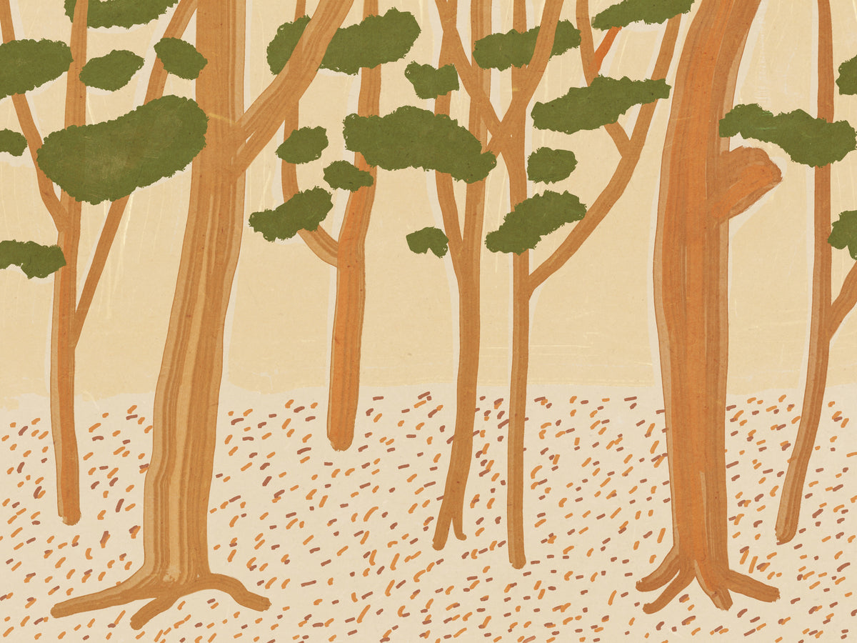 framedcanvas-print-brown-forest-a-landscape-painting