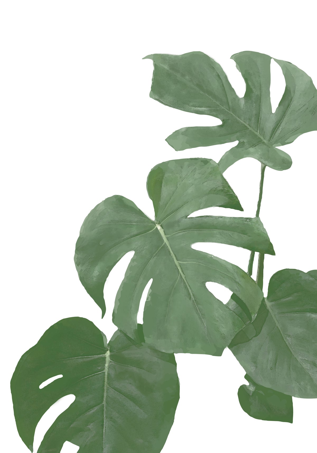 framedcanvas-print-monstera-aqua-03