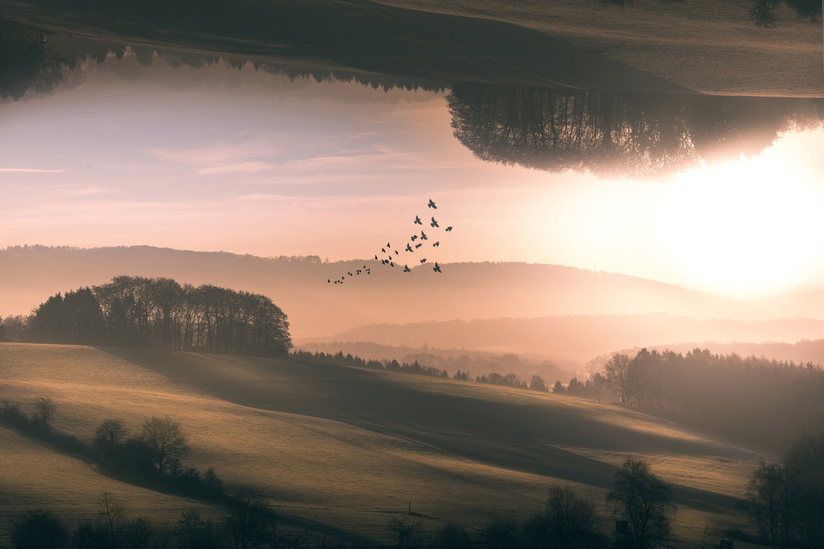 framedcanvas-print-interplanar