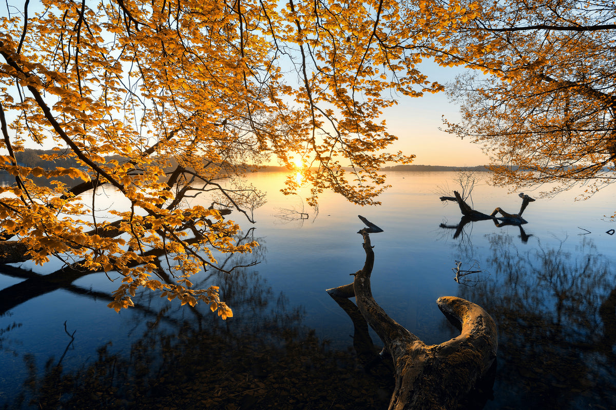 framedcanvas-print-autumn-morning-xoq