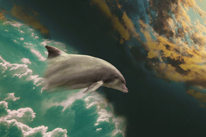3-piece-acrylic-print-fascination-dolphin