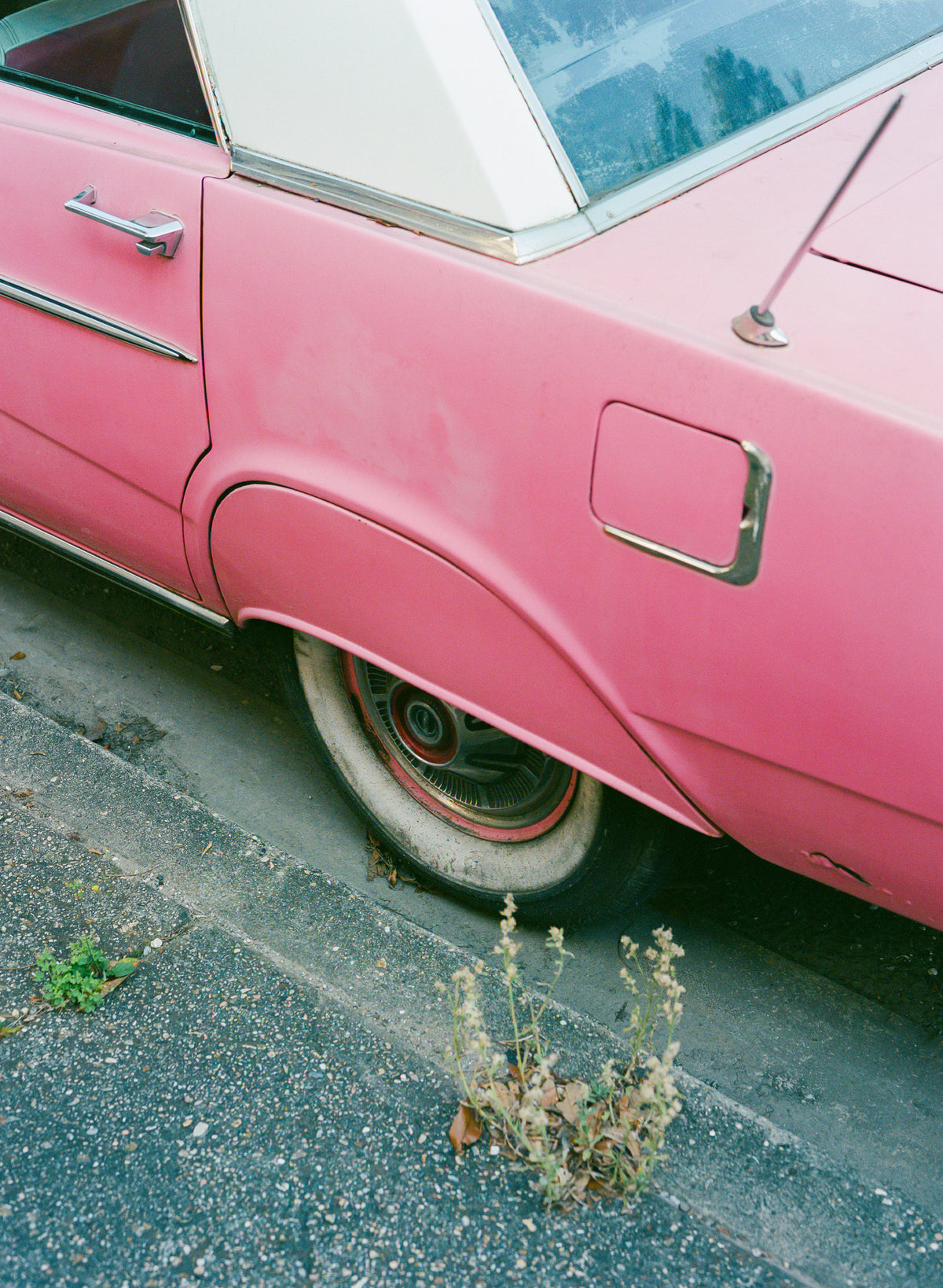 canvas-print-new-orleans-ride-x