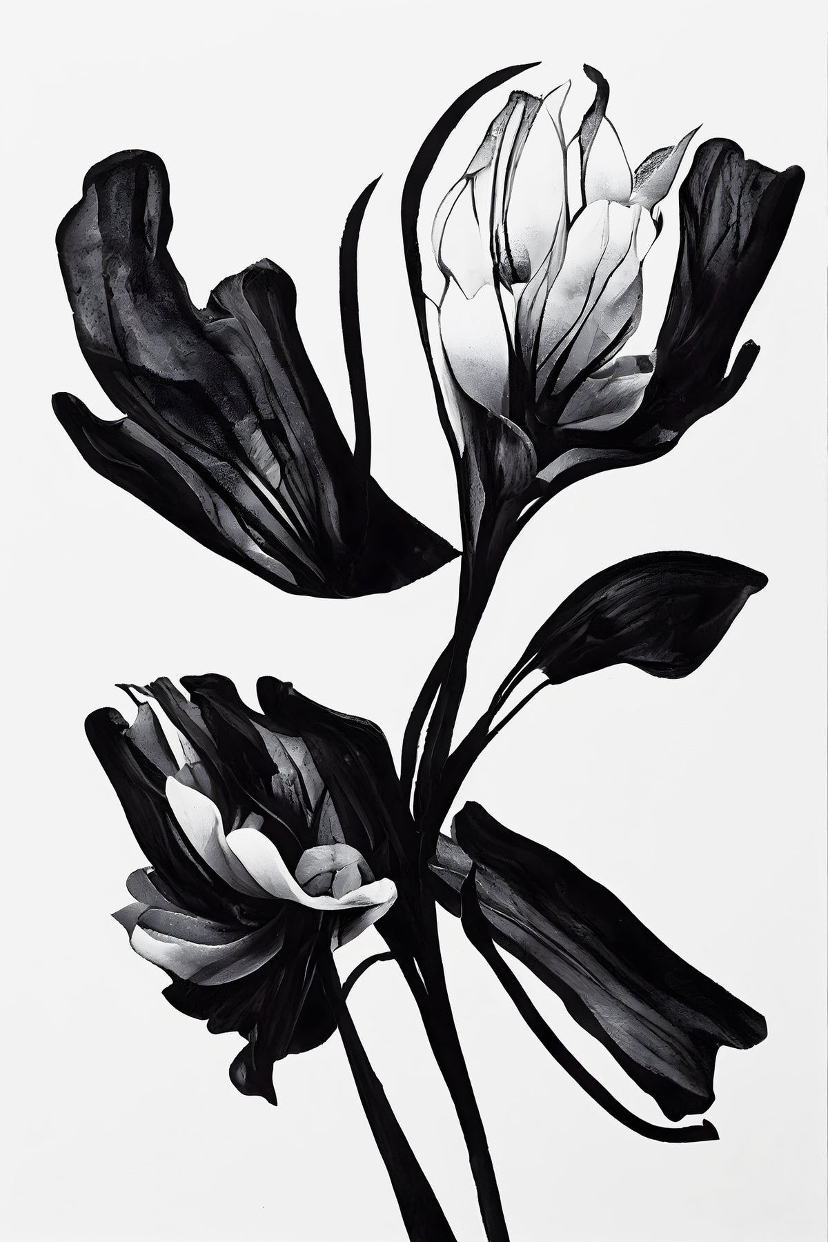 framedposter-print-black-flower