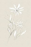 acrylic-print-farm-flower