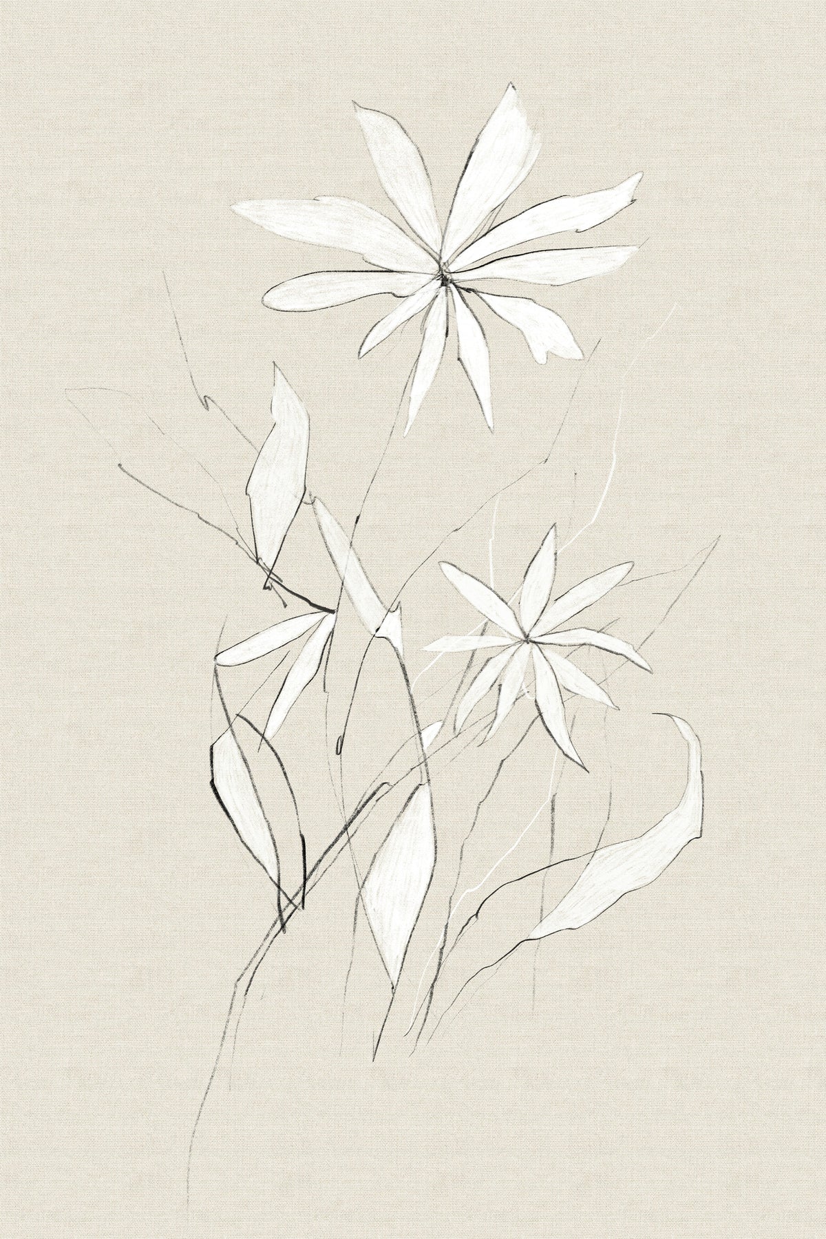 acrylic-print-farm-flower