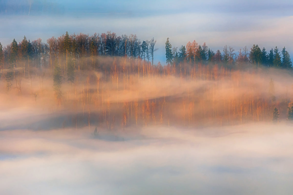 framedcanvas-print-in-the-morning-mists