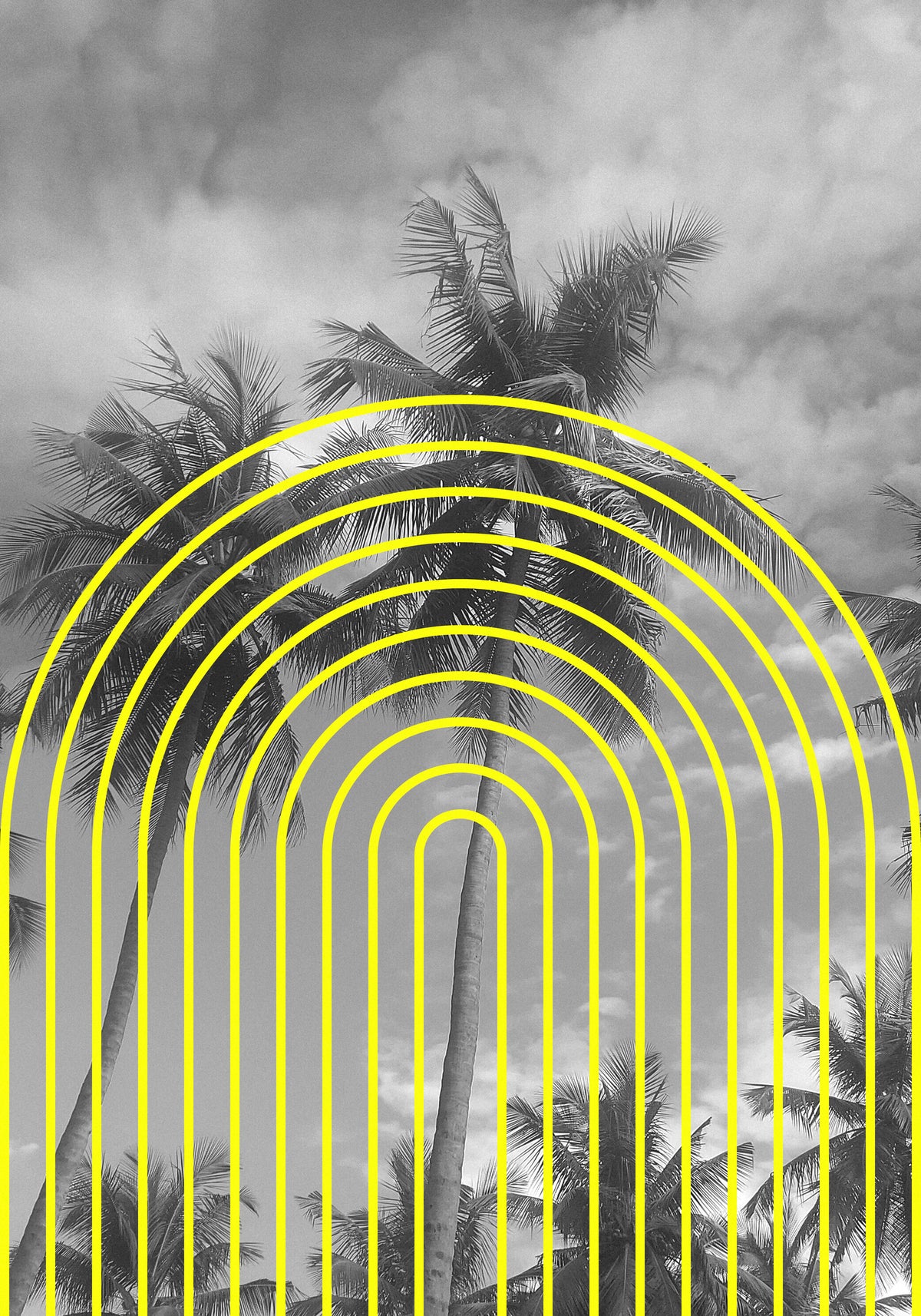 canvas-print-tropical-echoes