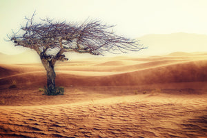 3-piece-canvas-print-desert-storm