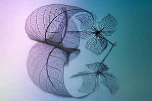 aluminium-print-story-of-leaf-and-flower