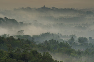 framedcanvas-print-temple-in-the-mist