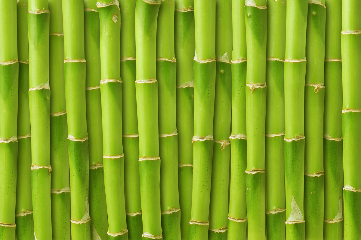 aluminium-print-bamboo-wall