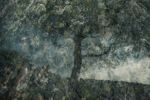 framedposter-print-rocks-and-a-tree