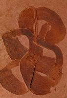 aluminium-print-ferrugem-ii