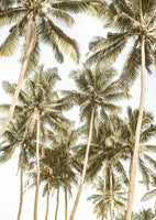 acrylic-print-tropical-serenity