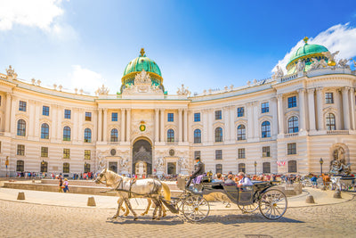 poster-print-alte-hofburg-wien-oesterreich