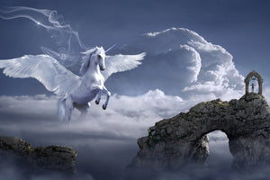 aluminium-print-pegasus