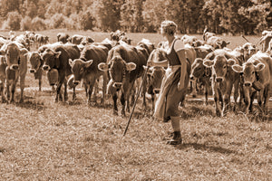 poster-print-allgau-viehscheid-girls