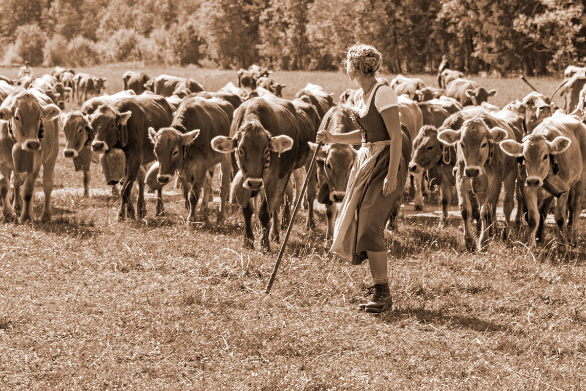 poster-print-allgau-viehscheid-girls