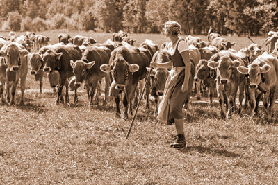 poster-print-allgau-viehscheid-girls