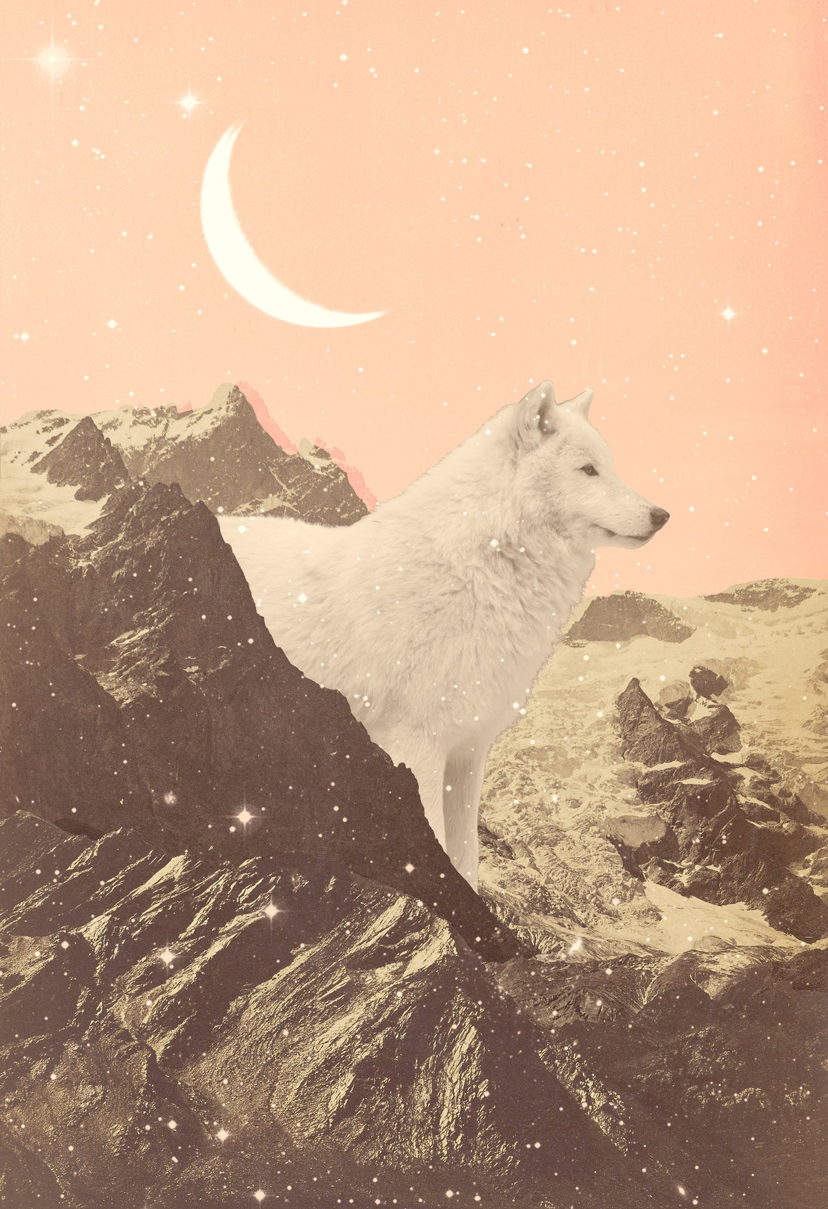framedcanvas-print-giant-white-wolf-in-mountains