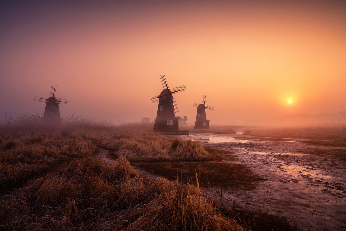 canvas-print-foggy-morning-xji