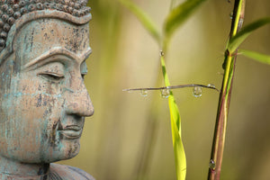 canvas-print-xl-buddha-head