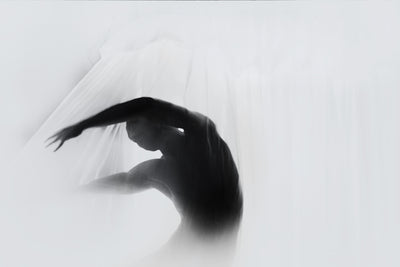 poster-print-the-dance-of-silence