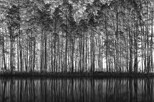 aluminium-print-pointillism-nature-2
