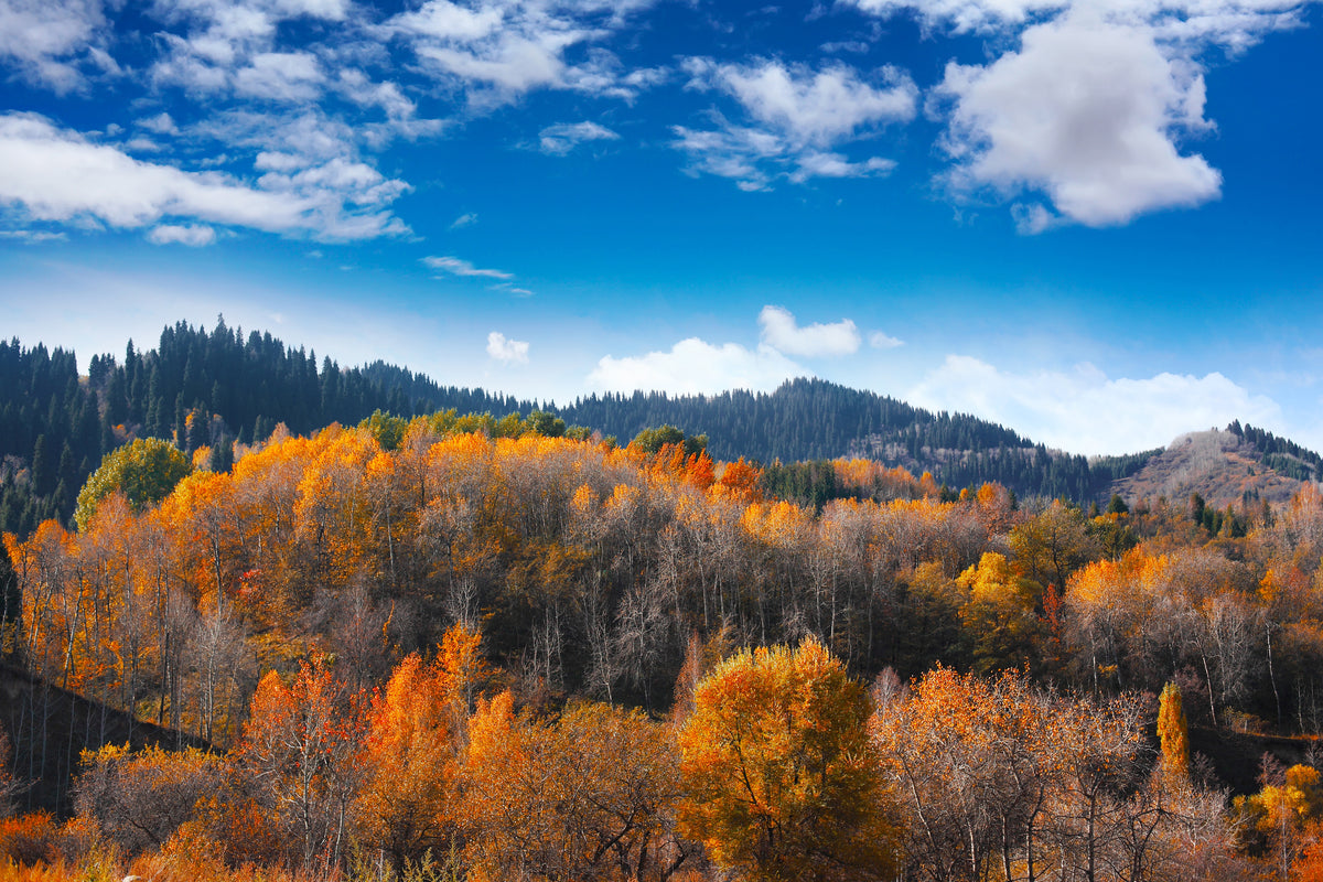 3-piece-canvas-print-clouds-gather