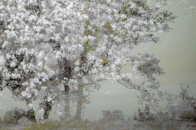 poster-print-spring-xep