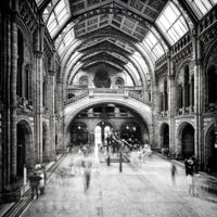 canvas-print-natural-history-museum-of-london-x